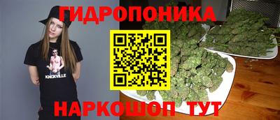 СК Гусь-Хрустальный