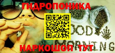 СК Гусь-Хрустальный
