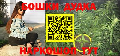 СК Гусев