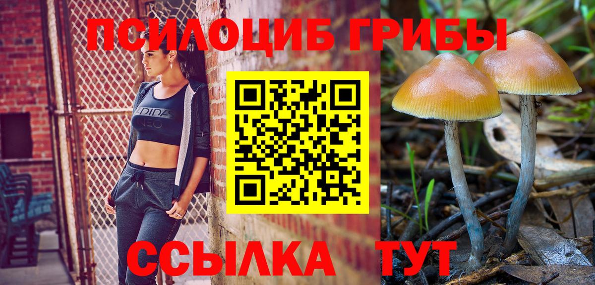 Псилоцибиновые грибы MAGIC MUSHROOMS Нальчик