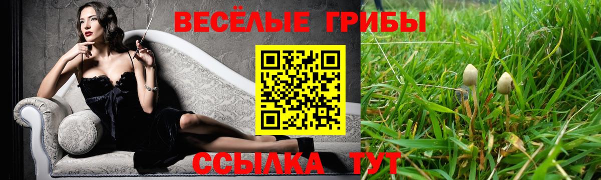 купить закладку  Псилоцибиновые грибы ЛСД  Вход с VPN  Нальчик 